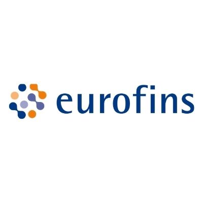 Group Processes Transformation and Digitalisation Intern