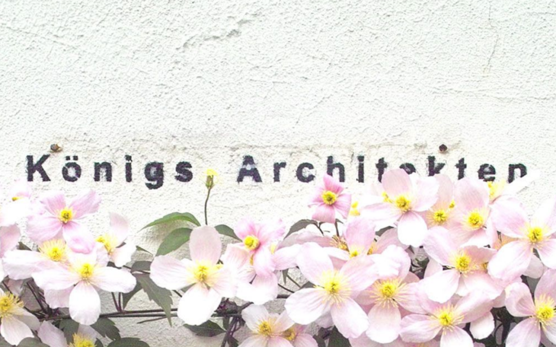 Bachelorabsolvent/inn/en Architektur